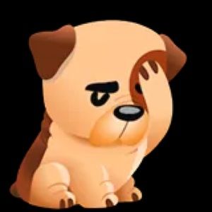 Meet your Posher, Yeimi